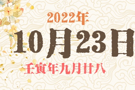 20221023ճıȱʲô