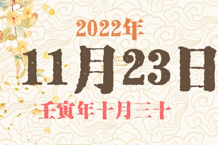 20221123ճıȱʲô